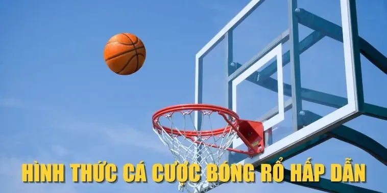 Tìm Hiểu Cá Cược Bóng Rổ B52Club Chi Tiết Nhất Cho Tân Thủ