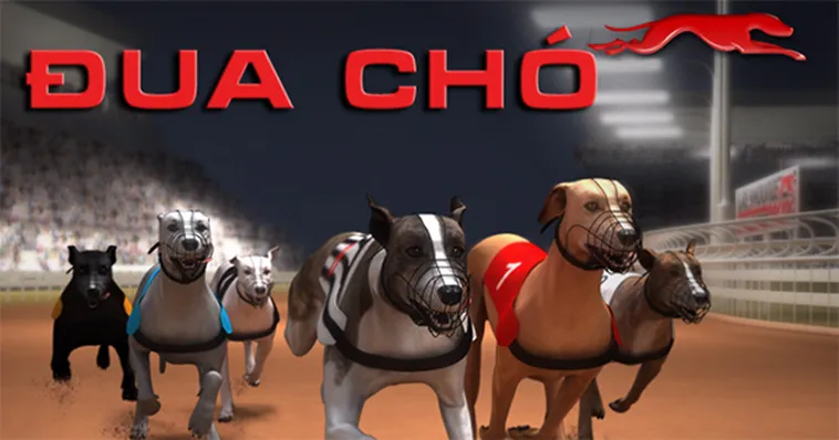 Hướng Dẫn Cách Chơi Game Nhanh Đua Chó Tại B52Club Dễ Thắng Nhất